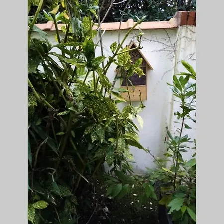 Appart Residence Acces Direct A La Plage Avec Terrasse Jardin Διαμέρισμα *