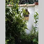 Acces Direct A La Avec Terrasse Jardin Lägenhet *