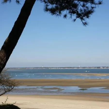 Proche Pied Dans L'eau Avec Terrasse Jardin Vue Sur Le Bassin Depuis La Terrasse Apartment *