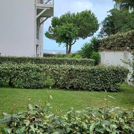 Proche Pied Dans L'eau Avec Terrasse Jardin Vue Sur Le Bassin Depuis La Terrasse * Arcachon