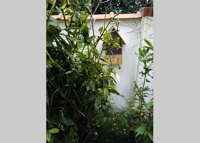 Acces Direct A La Avec Terrasse Jardin Apartmán *